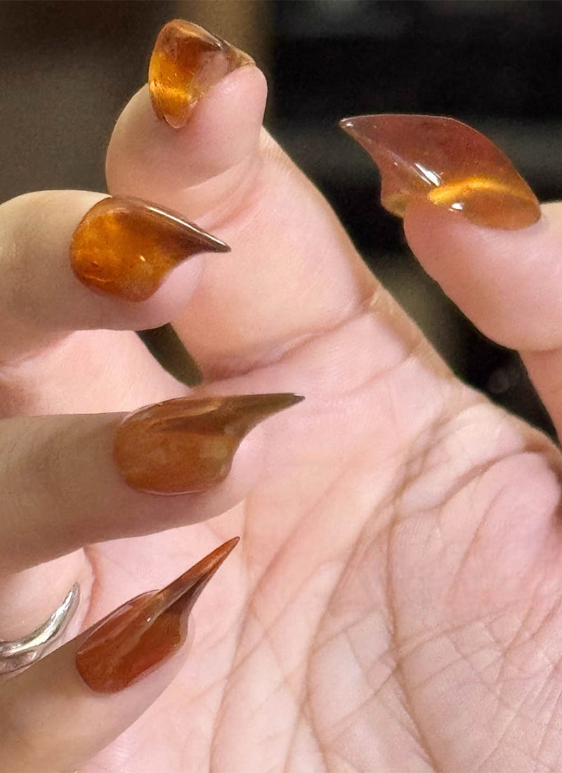 3D Amber Tortoise & Maple Claw Handmade Press-On Nails NF063