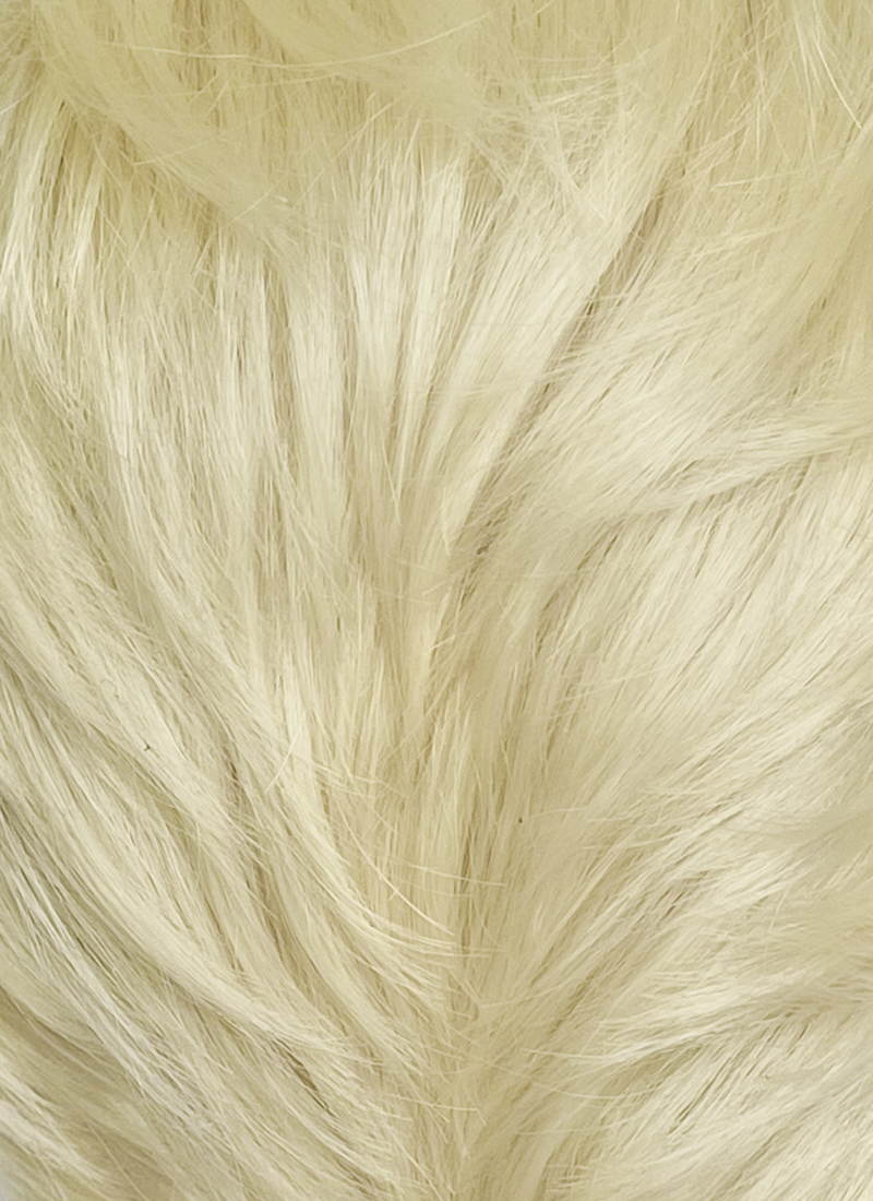 Blonde Straight Lace Front Synthetic Men's Wig LF8049