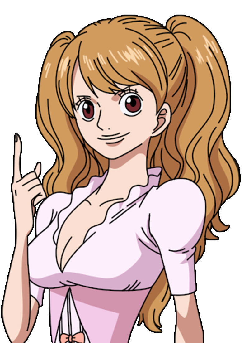 One Piece Pudding Inspired Lace Front Wig CMS059