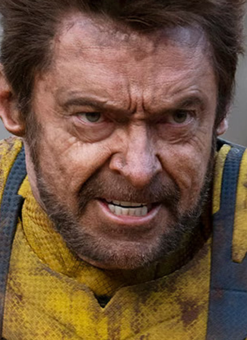 Deadpool x Wolverine Wolverine Inspired Beard CMS074