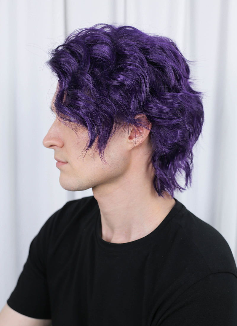 Critical Role The Mighty Nein Mollymauk Tealeaf Purple Wavy Lace Front Synthetic Men's Wig LF8094