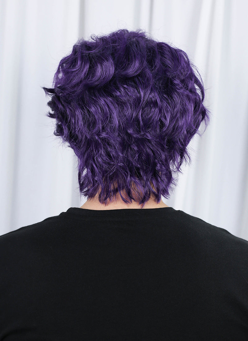 Critical Role The Mighty Nein Mollymauk Tealeaf Purple Wavy Lace Front Synthetic Men's Wig LF8094