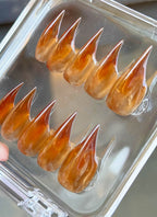 3D Amber Tortoise & Maple Claw Handmade Press-On Nails NF063