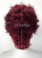 Demon Slayer Kimetsu no Yaiba Tanjiro Kamado Black With Red Wavy Lace Front Synthetic Men's Wig LF6162