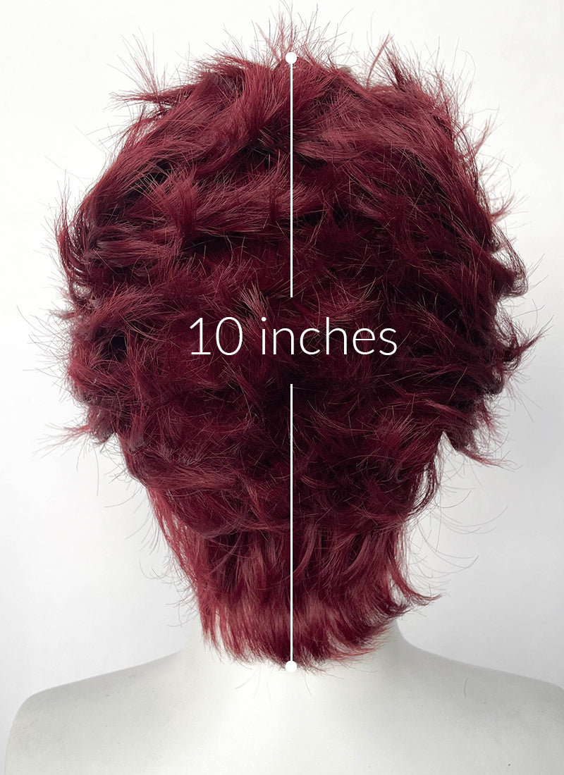 Demon Slayer Kimetsu no Yaiba Tanjiro Kamado Black With Red Wavy Lace Front Synthetic Men's Wig LF6162