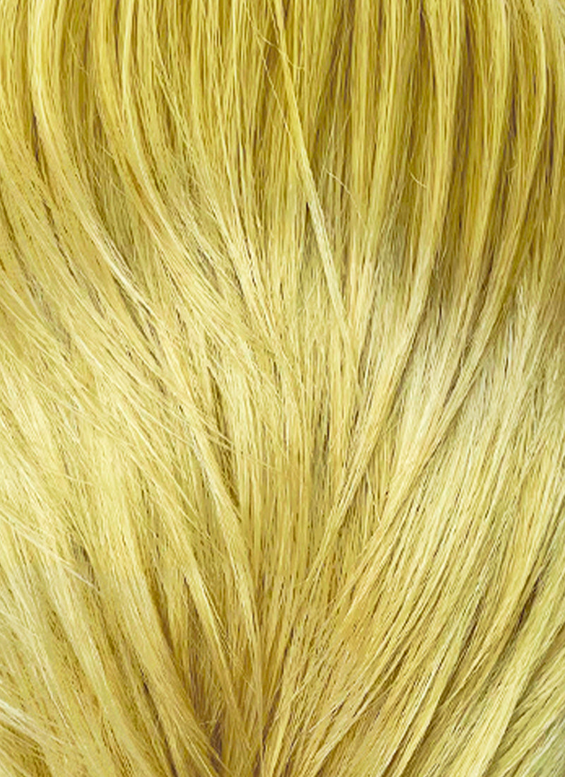 One Piece Sanji Yellow Straight Lace Front Synthetic Men's Wig LF6182