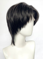 Black Straight Lace Front Synthetic Hair Wig LF6201