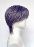 Ash Purple Straight Lace Front Synthetic Hair Men's Wig LF6204