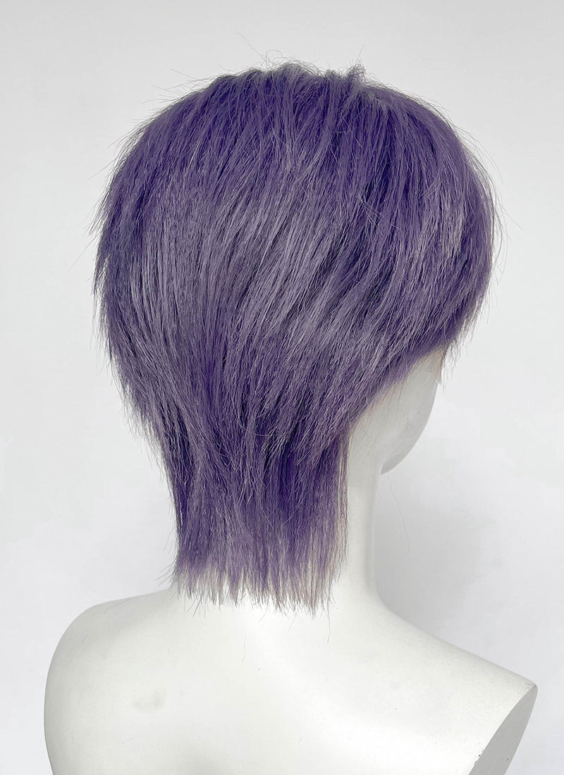 Ash Purple Straight Lace Front Synthetic Hair Men's Wig LF6204