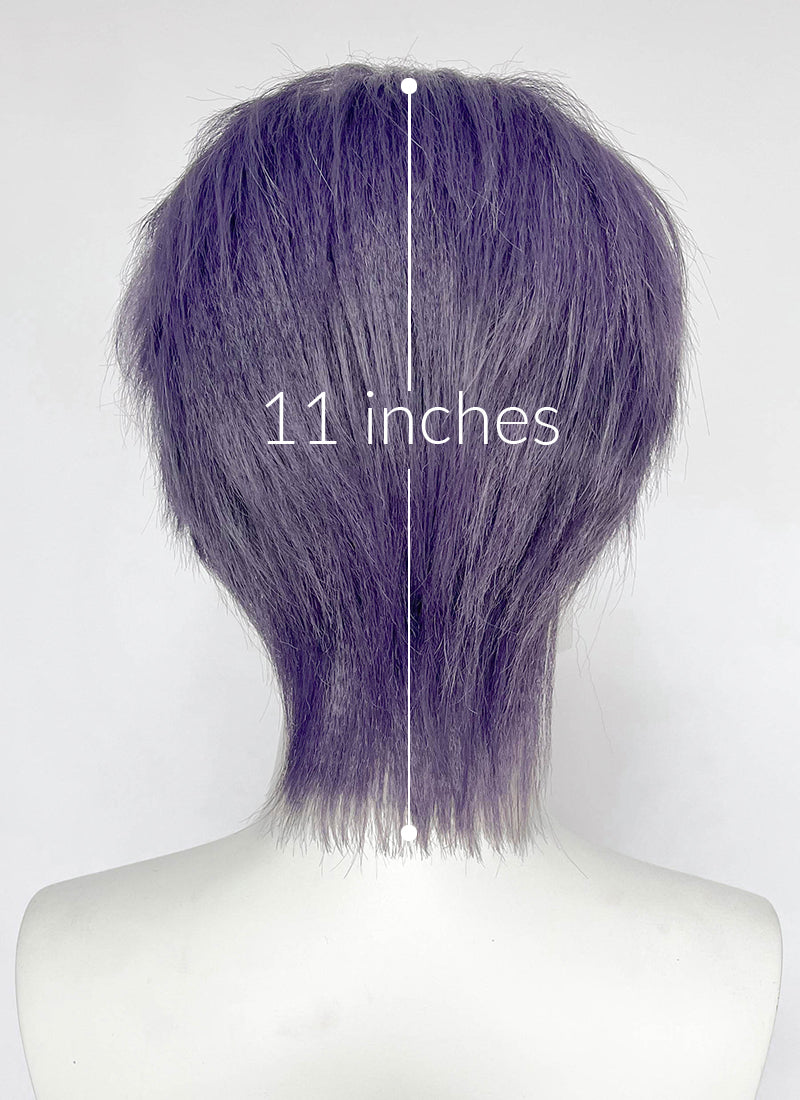 Ash Purple Straight Lace Front Synthetic Hair Men's Wig LF6204