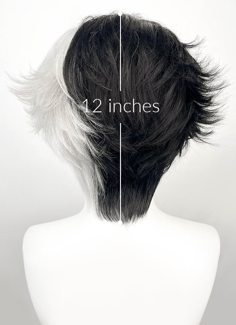 Luna Snow Wavy Black Silver Grey Split Color Lace Front Synthetic Wig LF6211