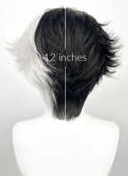 Luna Snow Wavy Black Silver Grey Split Color Lace Front Synthetic Wig LF6211
