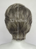 The Last of Us Joel Miller Sage Grey Straight Lace Front Synthetic Men's Wig LF8039A