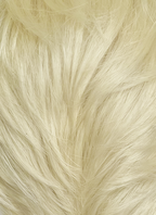 Blonde Straight Lace Front Synthetic Men's Wig LF8049