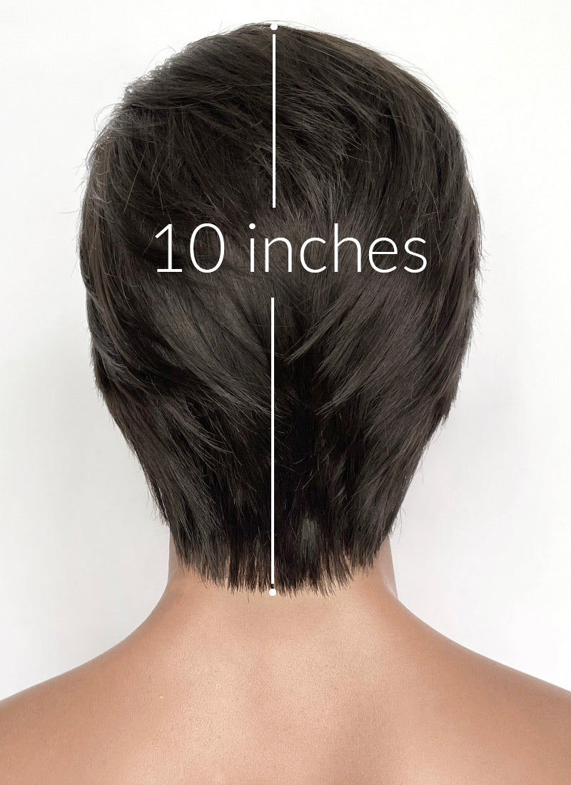 Brunette Straight Lace Front Synthetic Hair Men's Wig NM030