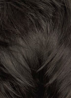Brunette Straight Lace Front Synthetic Hair Men's Wig NM030