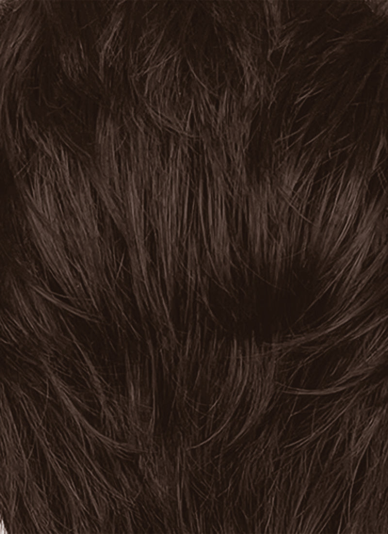 The Fantastic Four Mister Fantastic Reed Richards Brown Mixed Silver Grey Straight Lace Front Synthetic Men's Wig LF8072