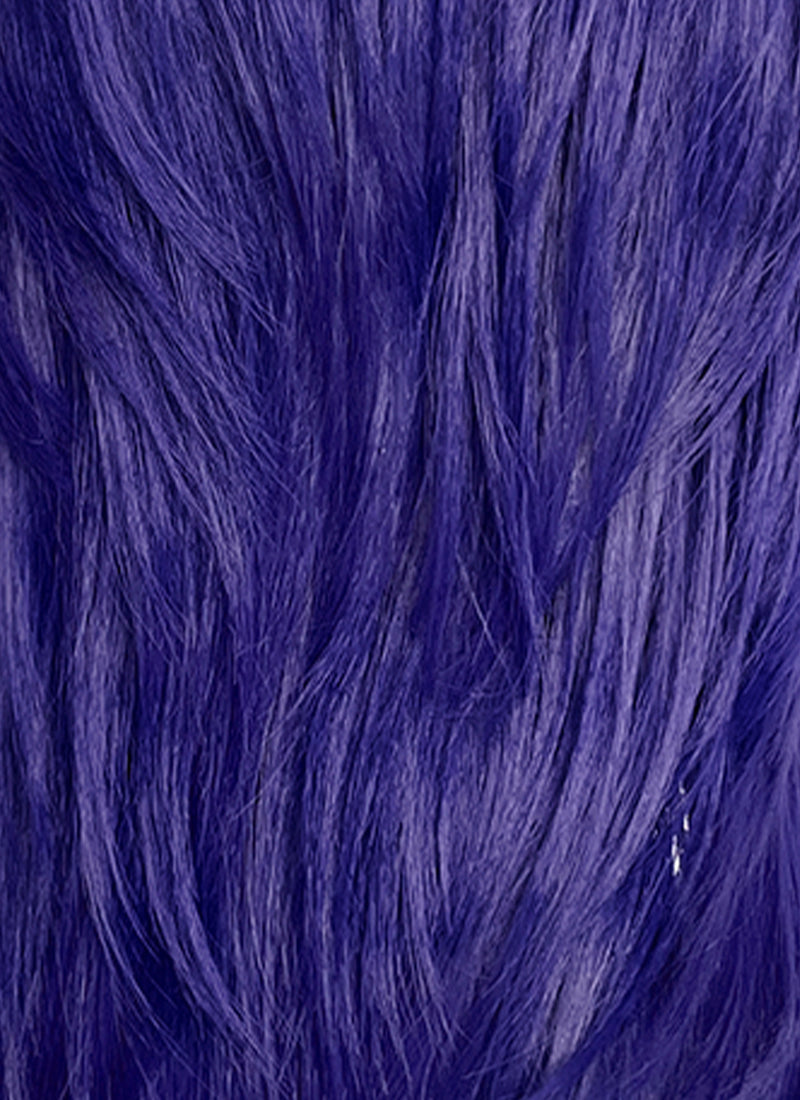 The Mighty Nein Mollymauk Tealeaf Purple Straight Lace Front Synthetic Men's Wig LF8091