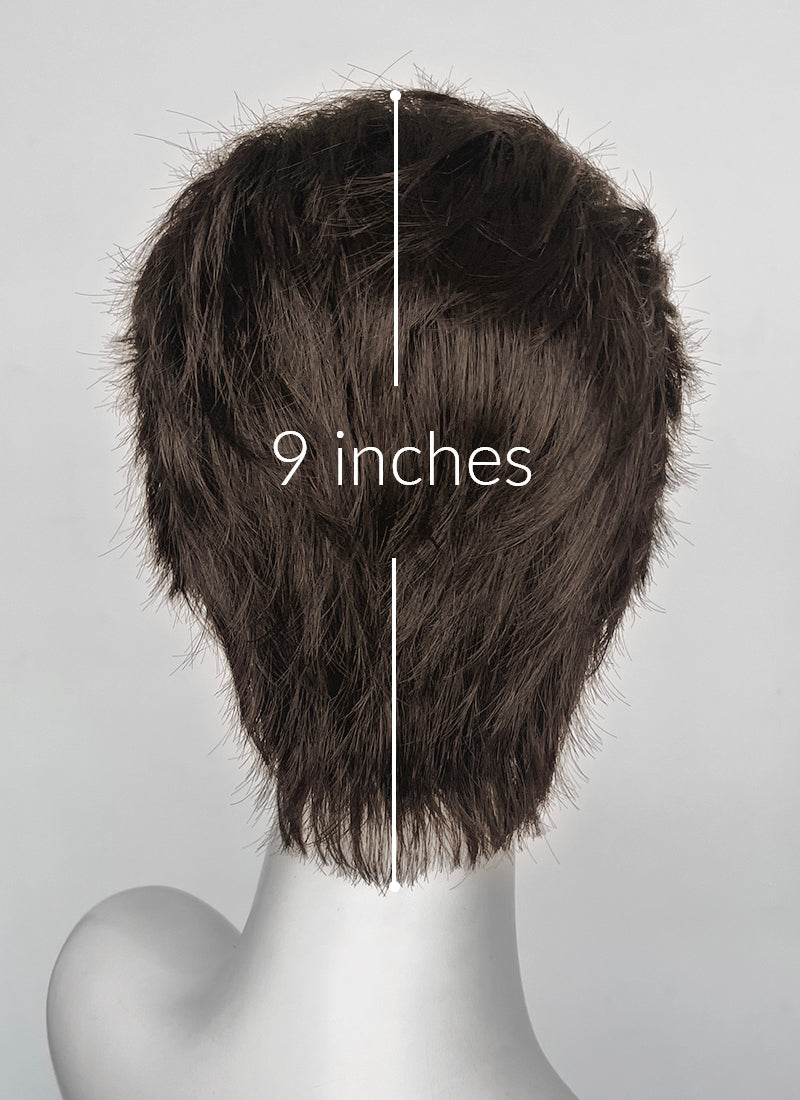 Brunette Straight Lace Front Synthetic Men's Wig NM009
