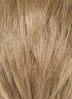 Medium Blonde Straight Lace Front Synthetic Men's Wig LF8124