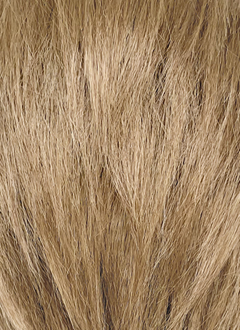 Medium Blonde Straight Lace Front Synthetic Men's Wig LF8124