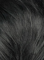 Short Lace Front Wig with Shaved Side - 2 Styles Available | Multiple Colors | Free 2 Wig Caps Included LF8127