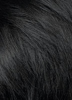 Short Lace Front Wig with Shaved Side - 2 Styles Available | Multiple Colors | Free 2 Wig Caps Included LF8127