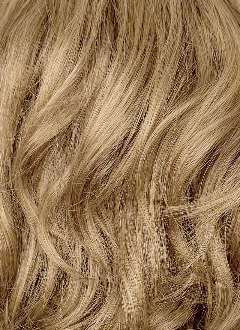 Masters of the Universe He-Man / Adam Blonde Wavy Lace Front Synthetic Men's Wig LF8130