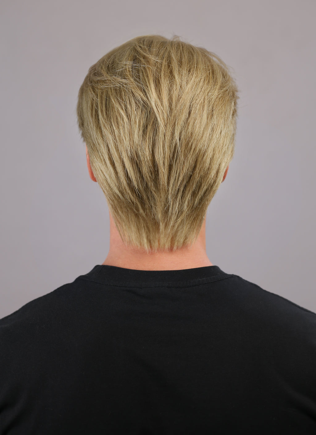 Medium Blonde Straight Lace Front Synthetic Men's Wig NM011
