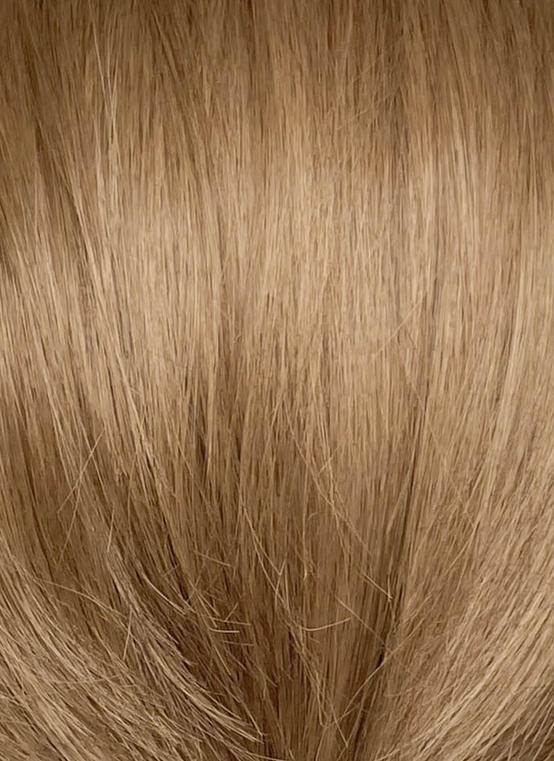 Assassin's Creed Edward Kenway Medium Blonde Straight Braided Lace Front Synthetic Men's Wig LF8148