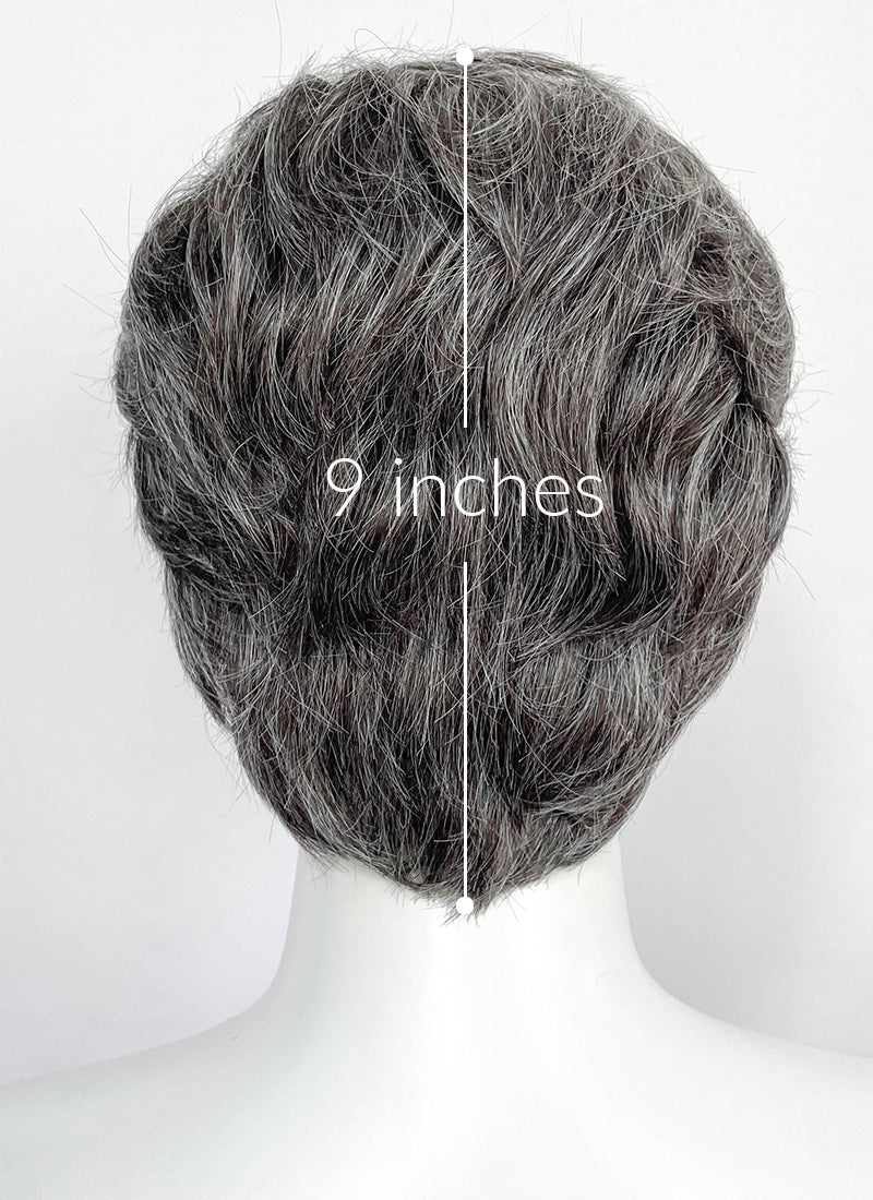 Mixed Dark Grey Wavy Lace Front Synthetic Men's Wig LF8154