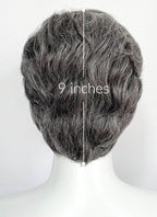 Mixed Dark Grey Wavy Lace Front Synthetic Men's Wig LF8154