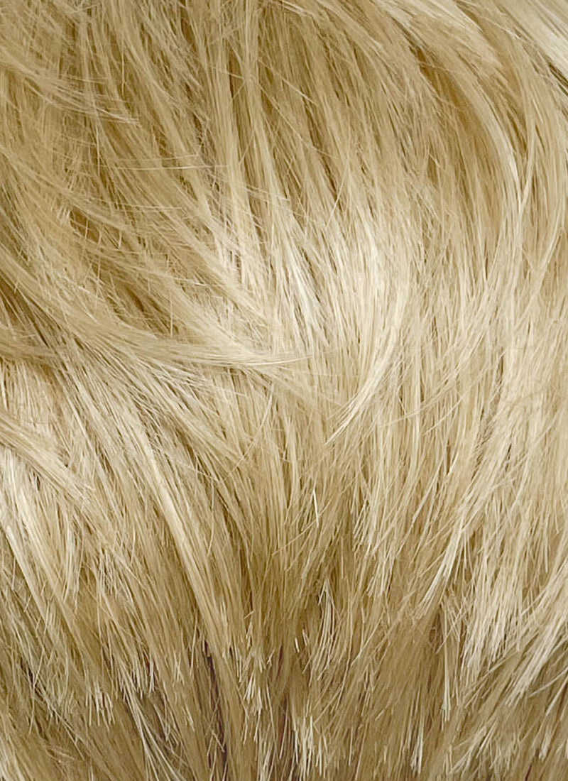 Mixed Blonde Straight Lace Front Synthetic Men's Wig LF8158