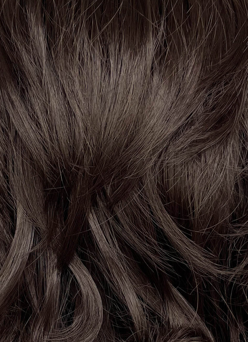 Brunette Wavy Lace Front Synthetic Wig LFCS311