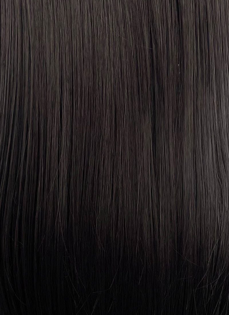 Brunette Straight Lace Front Synthetic Wig LFCS324