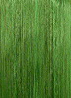 Green Straight Lace Front Synthetic Wig LFCS348