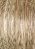 Mixed Blonde Straight Mono Top Lace Wig LFCS353