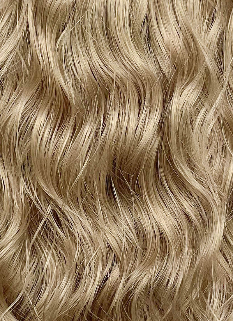 The Lord of the Rings Faramir Blonde Wavy Lace Front Synthetic Men's Wig LFK5584