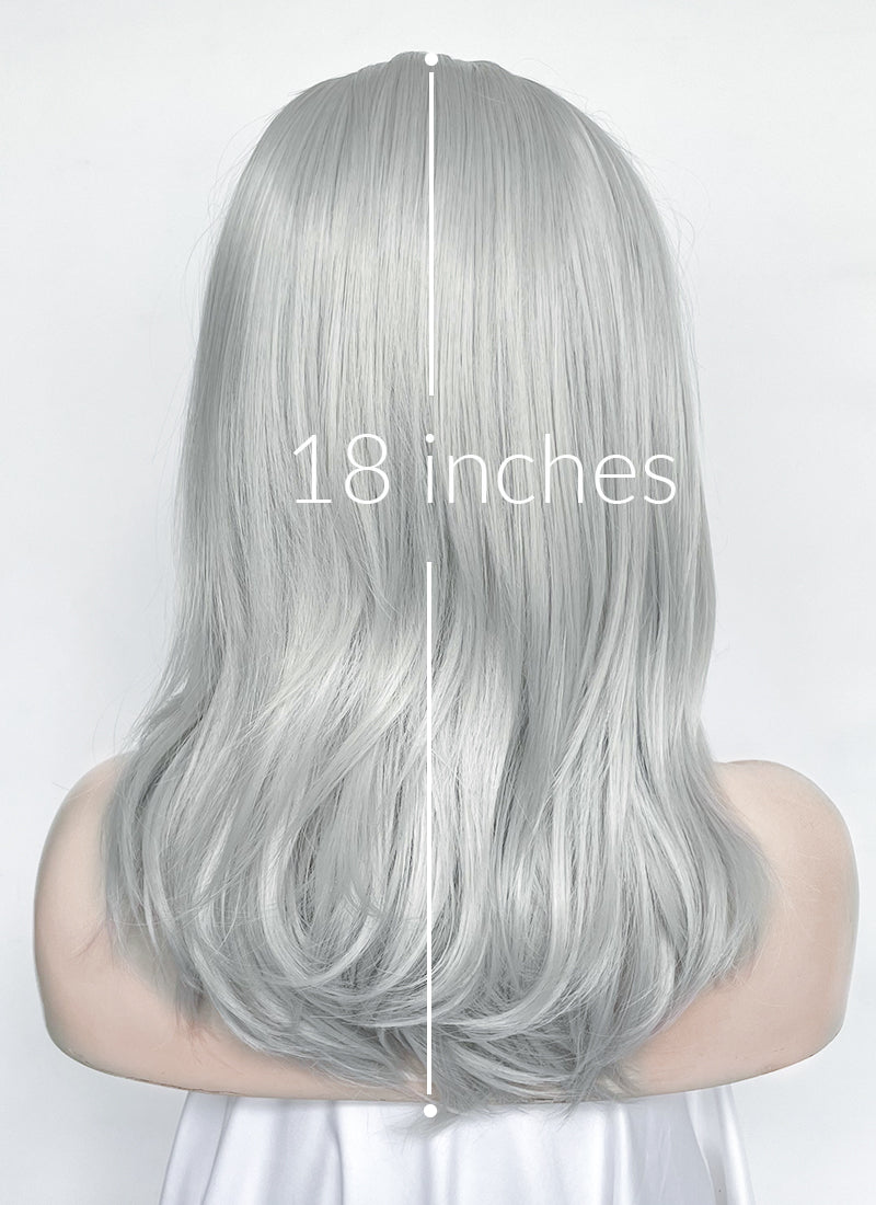 Silver Grey Straight Lace Front Synthetic Wig LW4066