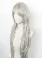 Silver Grey Straight Synthetic Hair Wig NS624