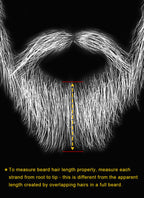 Full Beard Facial Hair Customizable
