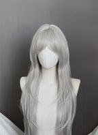 Silver Grey Straight Synthetic Hair Wig NS624