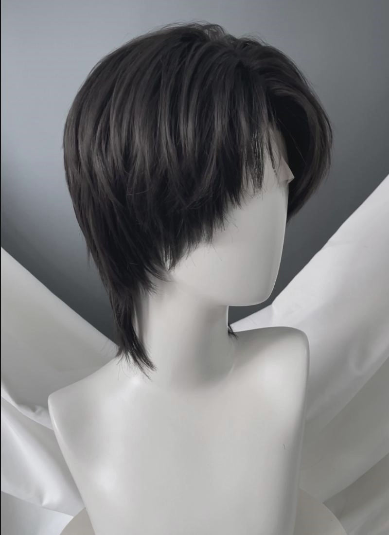Black Straight Lace Front Synthetic Hair Wig LF6201