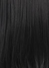 Straight Jet Black Lace Front Synthetic Wig LF002