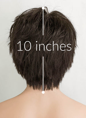 The Sandman Brunette Straight Pixie Lace Front Synthetic Men's Wig LF1312A