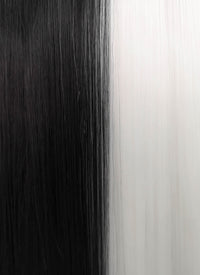 White Black Split Color Straight Lace Front Synthetic Wig LF3185
