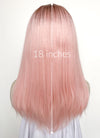 Pastel Pink With Brown Roots Straight Lace Front Kanekalon Synthetic Wig LF6008