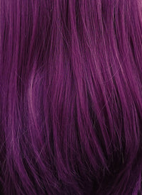 Straight Dark Purple Lace Front Synthetic Wig LF029