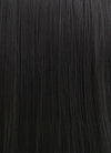 Straight Yaki Jet Black Lace Front Synthetic Wig LF701R