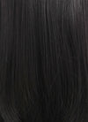 Straight Black Lace Front Synthetic Wig LW769